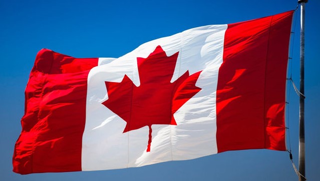 content_image_f80a1611-baaf-463f-a71a-a86de14cf783